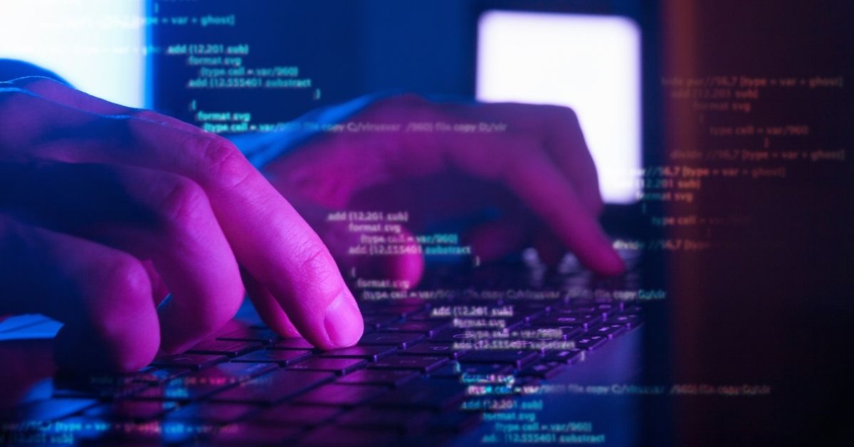 The Basics of HTML: A Beginner’s Guide to Web Development